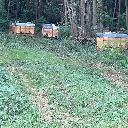 Domaine Des Quatre Terres