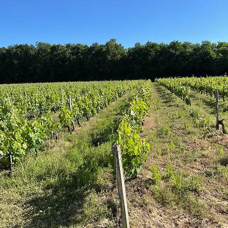 Domaine Des Quatre Terres * Lesparre-Medoc
